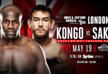 Cheick Kongo vs Augusto Sakai